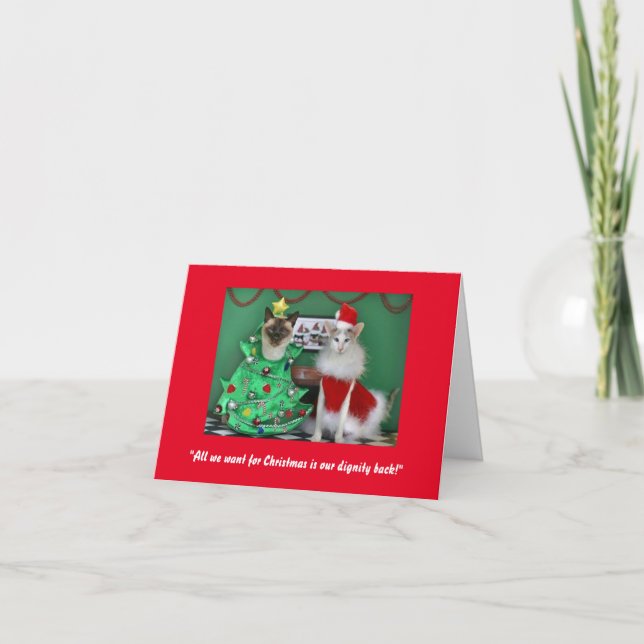 Des chats mignons sur une carte de Noël en purr (Devant)