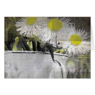 Des fleurs assez roses comme des marguerites dans