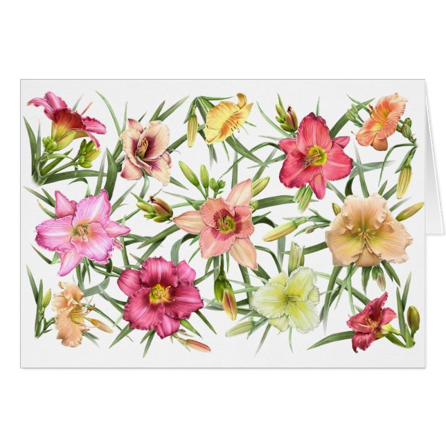 Des jours partout (Devant horizontal)