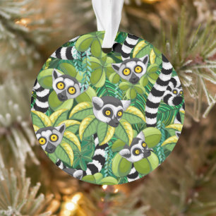 Des lémuriens de Madagascar dans la jungle exotiqu