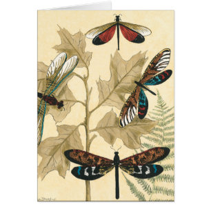 Des libellules colorées flottent au-dessus des Feu