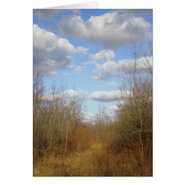 "Des nuages au printemps sur la voie" (Devant)