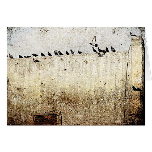 Des pigeons sur le toit (Devant horizontal)