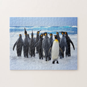 Des pingouins se marient à Ocean Jigsaw Puzzle