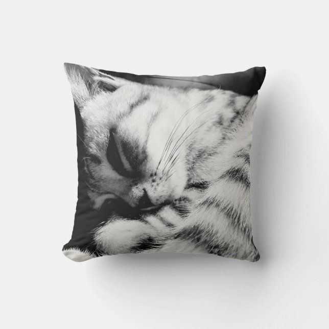 Des SleepyCat coussins meliert gris (Recto)