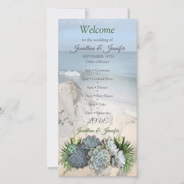 Des teintes succulentes de blues pâles (Devant)