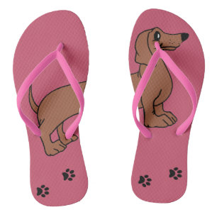 Des tongs de dessin de chiot de couleur dachshund