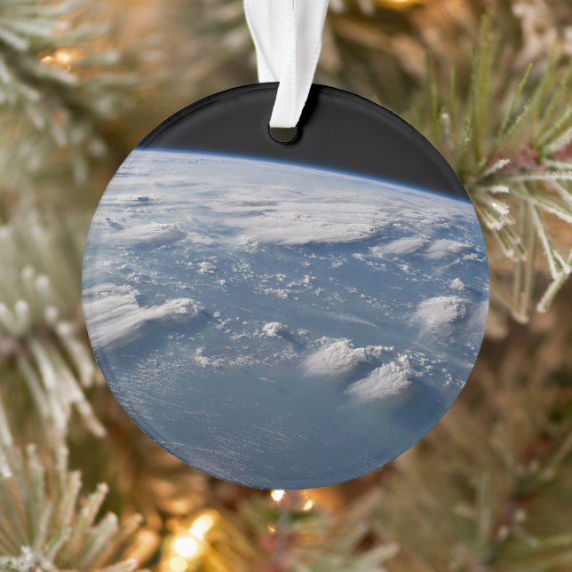 Des Tonneaux De Tonnerre De Terre Sur Le Sud De Bo (Arbre)