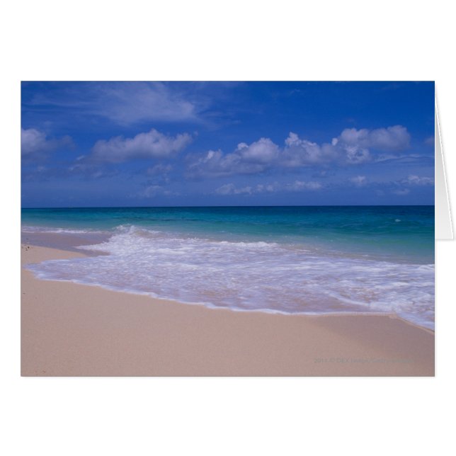 Des vagues océaniques mouillant sur une plage de s (Devant horizontal)