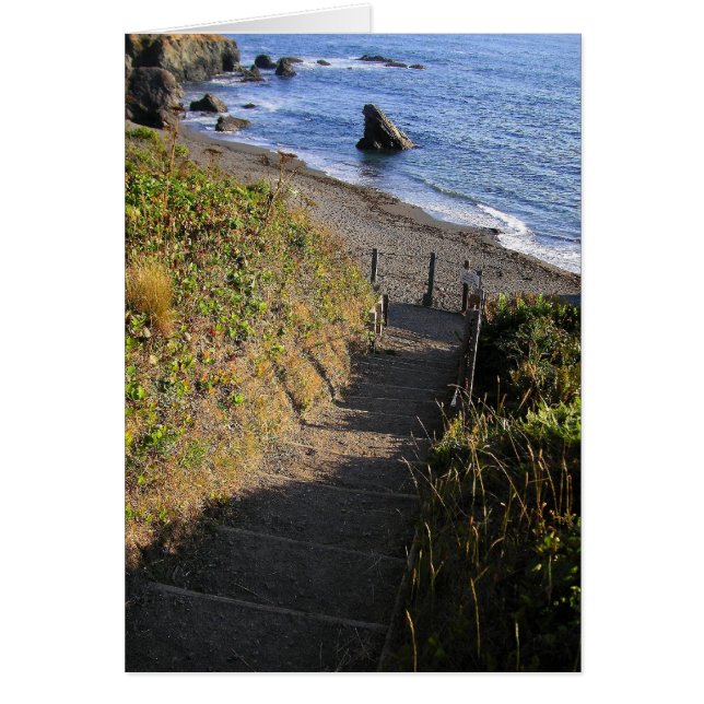 Descendre à Shark Rock (Devant)