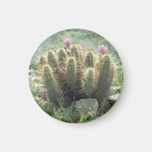 Désert Blooms Cactus Réfrigérateur Magnet cadeau