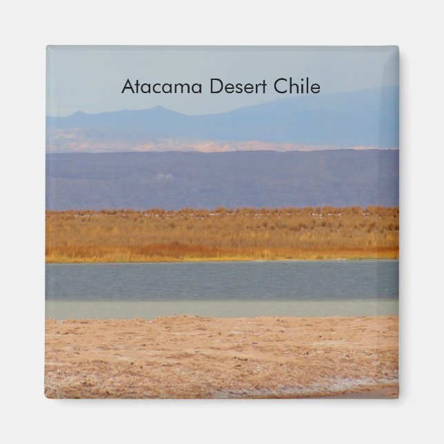 Désert d'Atacama, aimant du Chili (Devant)
