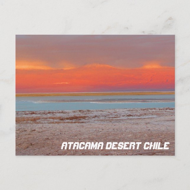 Désert d'Atacama, Chili Carte postale (Devant)