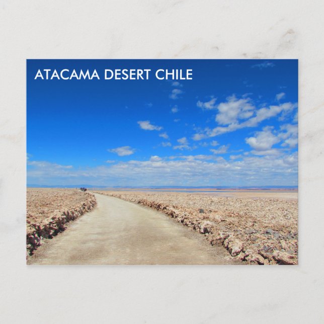 Désert d'Atacama, Chili Carte postale (Devant)