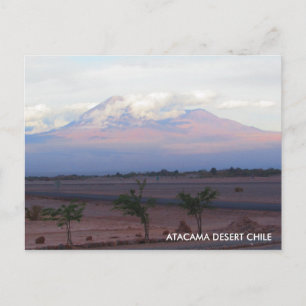 Désert d'Atacama, Chili Carte postale