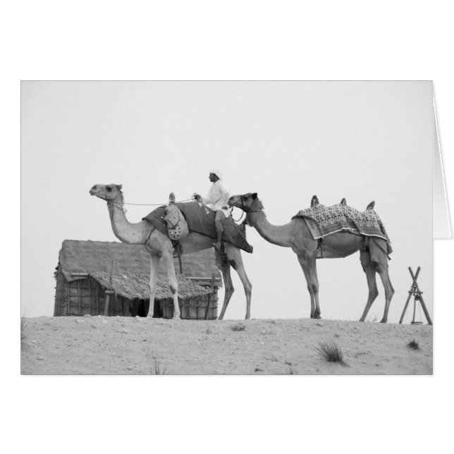 Désert de B&W Dubai (Devant horizontal)