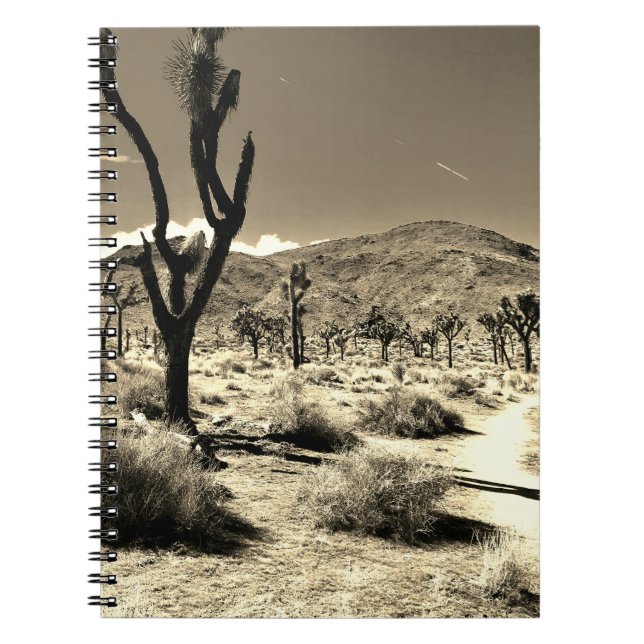 Désert errant dans le Carnet Sepia (Devant)