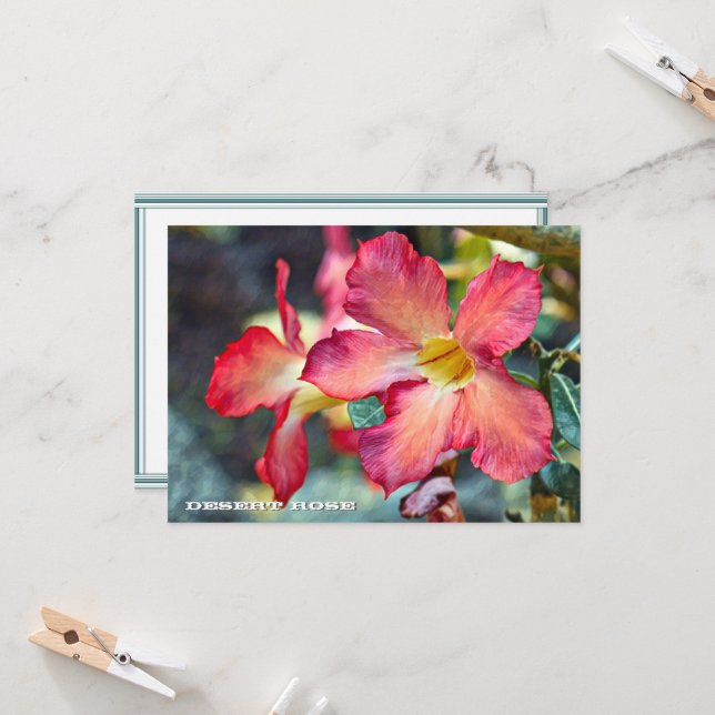 Desert Rose: Flat Card (Devant/Arrière en situation)
