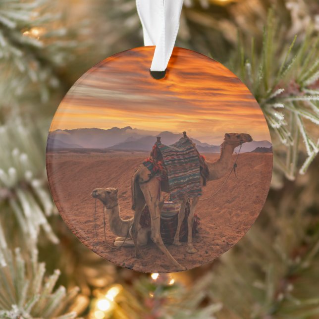 Deserts | Bactrian Camel Egypt Sand Dune (Arbre)