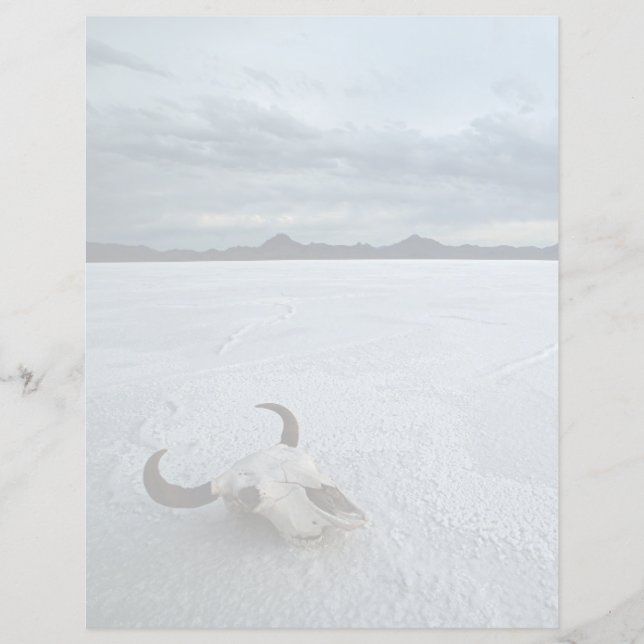 Deserts | Bonneville Salt Flats Utah (Devant)