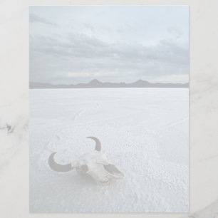 Deserts Bonneville Salt Flats Utah