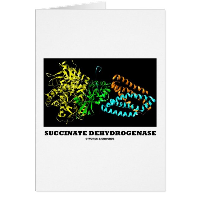 Déshydrogénase de succinate (chimie) (Devant)