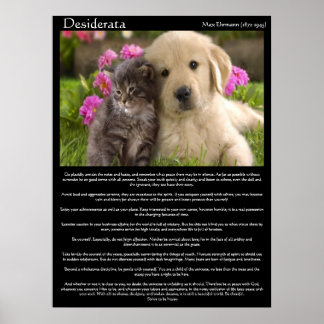 Desiderata chatons à côté d'un chiot Posters