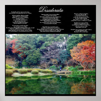 desiderata inspirationnel poster DE 8.99