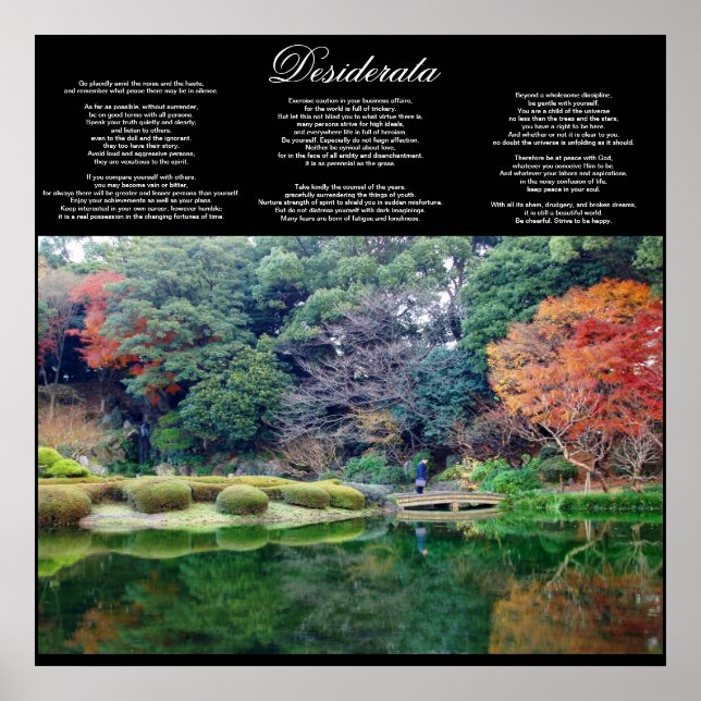 desiderata inspirationnel poster DE 8.99 (Devant)