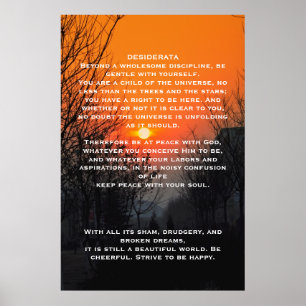 DESIDERATA Orange walkway Affiches