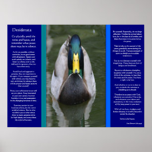 DESIDERATA Recherche Poster Canard