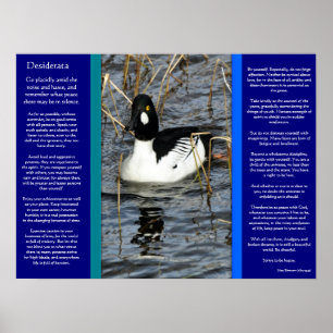 DESIDERATA Regard Canards Posters 2