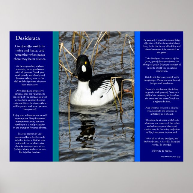 DESIDERATA Regard Canards Posters 2 (Devant)