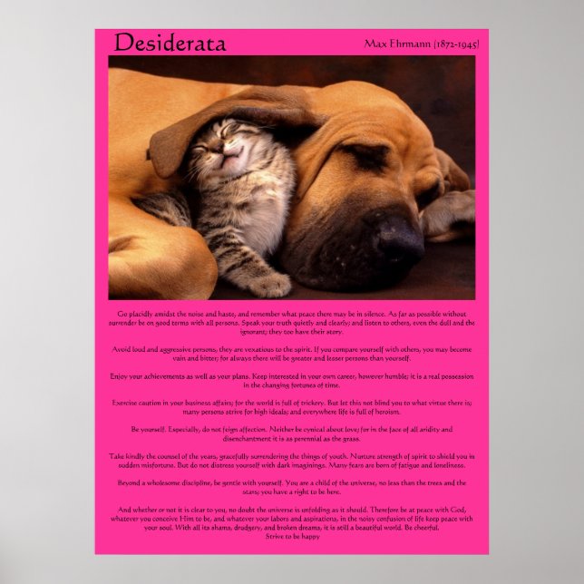 Desiderata sous l'oreille beagle couchant Posters (Devant)