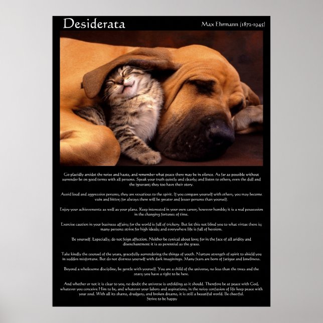 Desiderata Young Love Posters 2 (Devant)