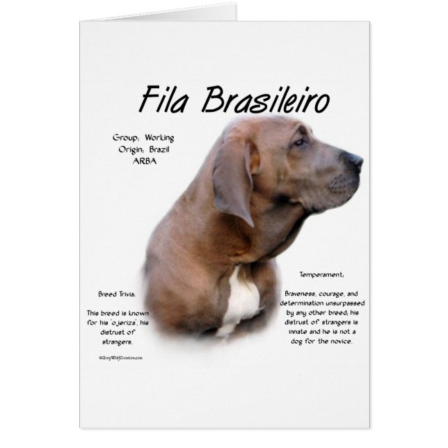 Design d'histoire de Fila Brasileiro (Devant)