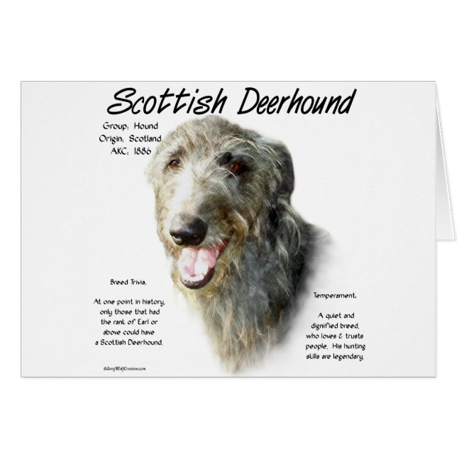 Design d'histoire écossaise de Deerhound (Devant horizontal)