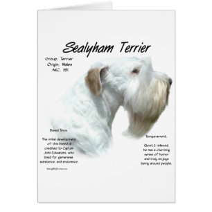 Design historique de Sealyham Terrier