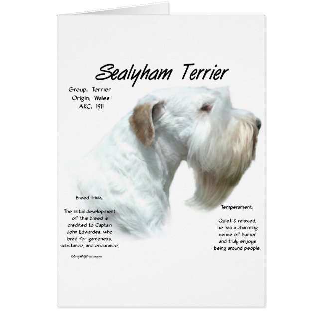 Design historique de Sealyham Terrier (Devant)