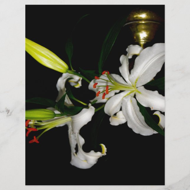 Design irlandais - La collection Flower (Devant)