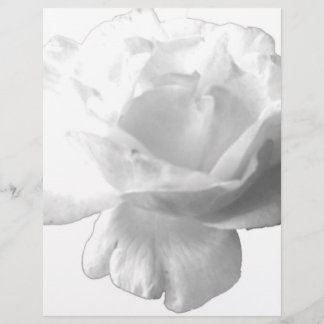 Design rose blanche
