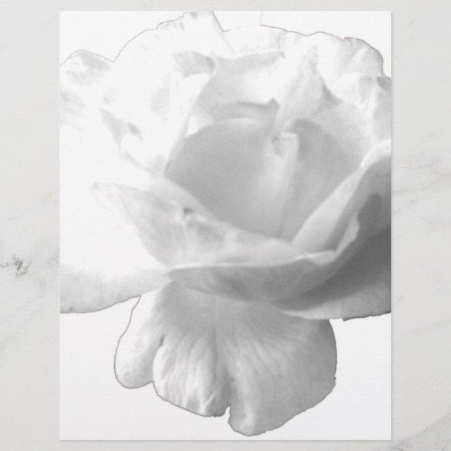 Design rose blanche (Devant)