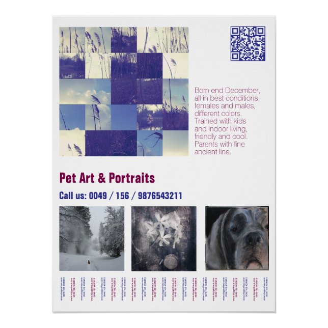Designer Great Dane Puppy Poster (Devant)