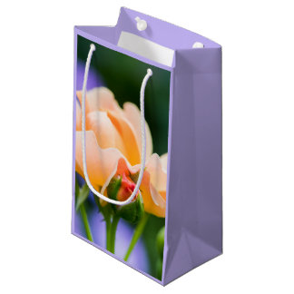désir déplier grand sac cadeau
