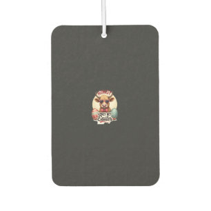 DÉSODORISANT POUR VOITURE 