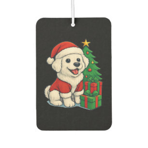 DÉSODORISANT POUR VOITURE 