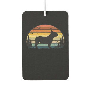 DÉSODORISANT POUR VOITURE 