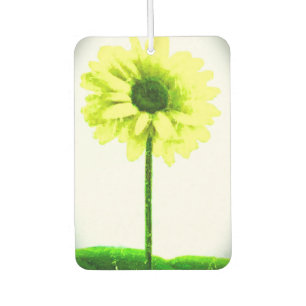 DÉSODORISANT POUR VOITURE 