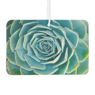 DÉSODORISANT POUR VOITURE 