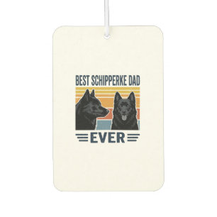 DÉSODORISANT POUR VOITURE 